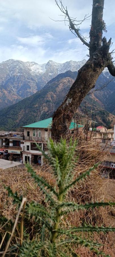 Sahaj Homestay Naddi Dharamshala Exterior foto
